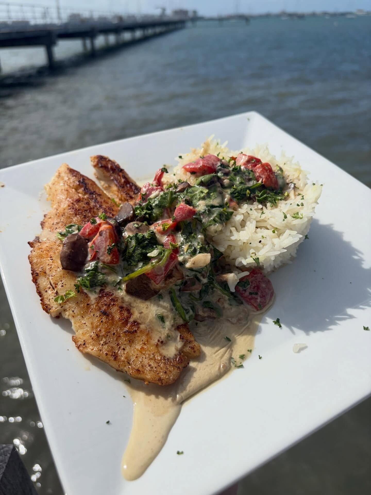 Blackened fish over rice with salsa, with the pier behind