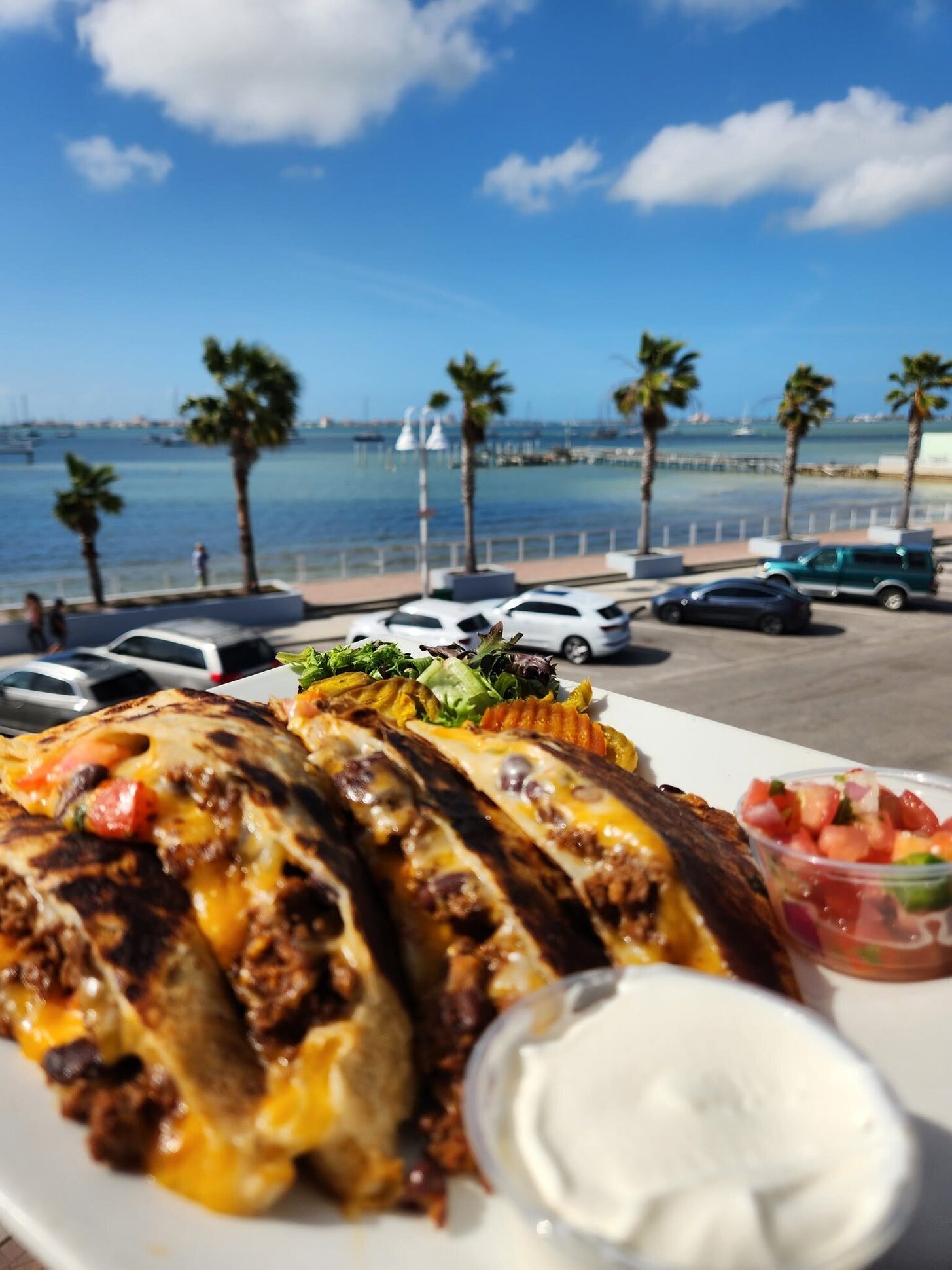 Tacos on the O'Maddy's rail, with Shore Blvd, palms and the bay behind